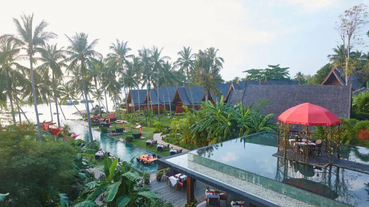 Kupu Kupu Phangan ( Koh Phangan )